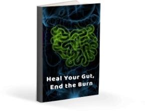 Educational ebook about natural digestive comfort and reflux support