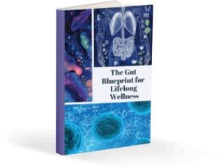 Digital guide focused on long-term gut and immune wellness strategies